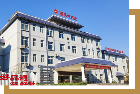 貴州德良方藥業(yè)股份有限公司